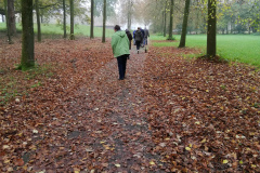 IMG_20201111_103609